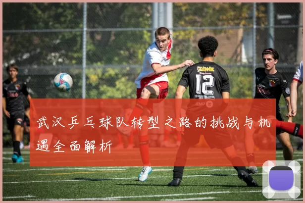 武汉乒乓球队转型之路的挑战与机遇全面解析