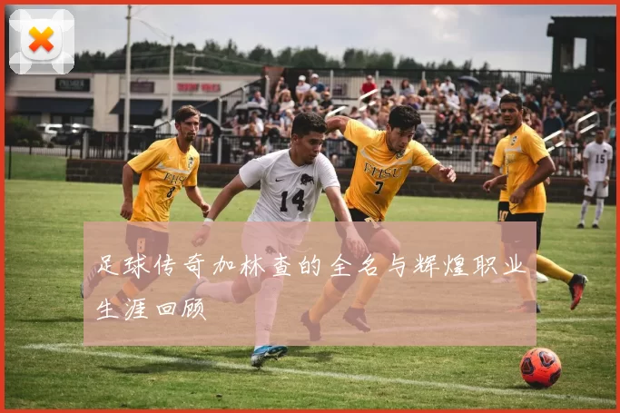 足球传奇加林查的全名与辉煌职业生涯回顾
