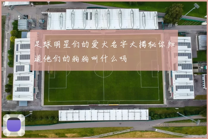 足球明星们的爱犬名字大揭秘你知道他们的狗狗叫什么吗