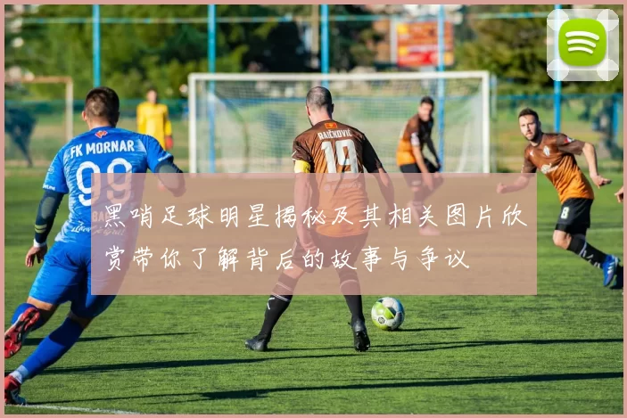 黑哨足球明星揭秘及其相关图片欣赏带你了解背后的故事与争议