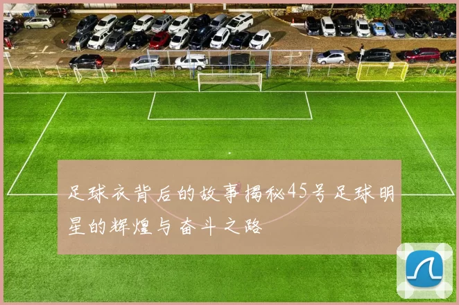 足球衣背后的故事揭秘45号足球明星的辉煌与奋斗之路