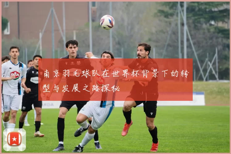 南京羽毛球队在世界杯背景下的转型与发展之路探秘