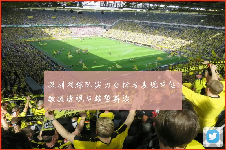 深圳网球队实力分析与表现评估：数据透视与趋势解读